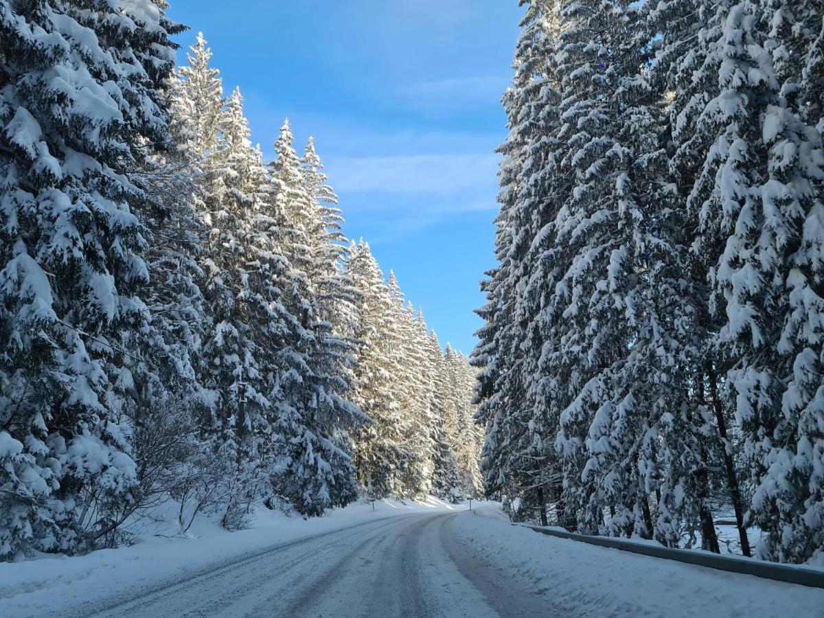 Prostřední Bečva Chalet-Beskydyヴィラ エクステリア 写真